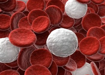 Revolutionary Breakthrough: Cultivation of Human White Blood Cells to Regenerate Nervous Tissue