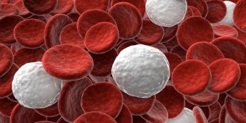 Revolutionary Breakthrough: Cultivation of Human White Blood Cells to Regenerate Nervous Tissue