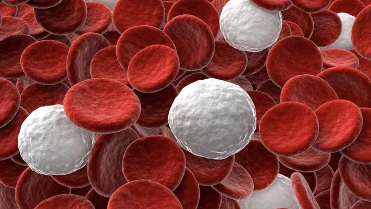 Revolutionary Breakthrough: Cultivation of Human White Blood Cells to Regenerate Nervous Tissue
