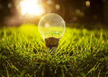 Breakthrough in Bioenergy: Innovative Path from Waste to Energy