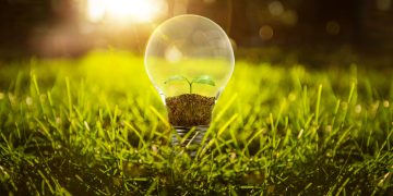 Breakthrough in Bioenergy: Innovative Path from Waste to Energy