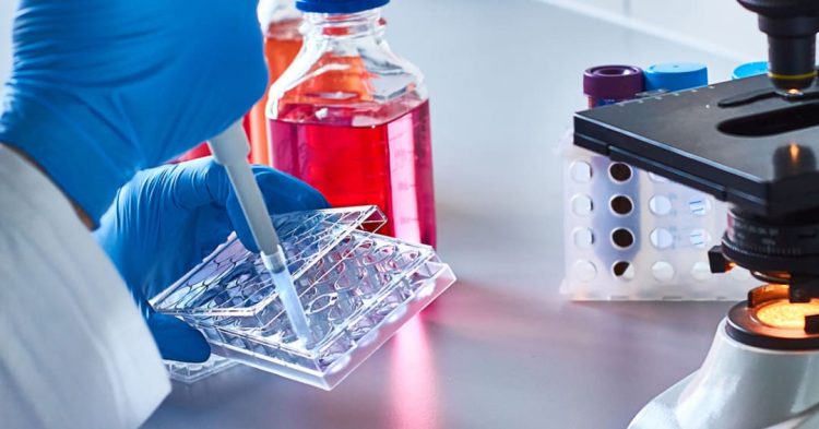 Advancements in Diabetes Treatment: The Promising Horizon of VX-880 Cell Therapy