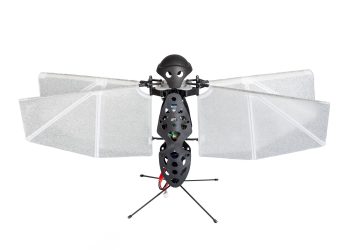 Unlocking the Secrets of Beetle Wing Dynamics: A Potential Revolution for Flapping-Wing Drones
