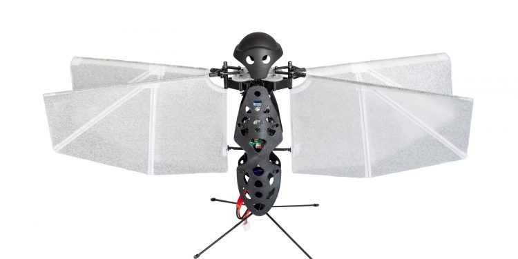 Unlocking the Secrets of Beetle Wing Dynamics: A Potential Revolution for Flapping-Wing Drones