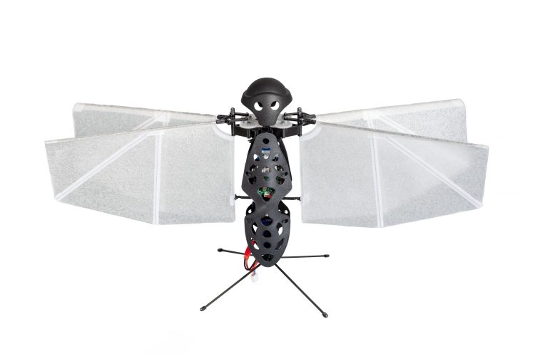 Unlocking the Secrets of Beetle Wing Dynamics: A Potential Revolution for Flapping-Wing Drones