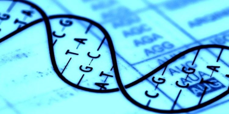 Groundbreaking Strides in Gene Editing: Novel Techniques for Precise and Efficient Genome Rearrangement