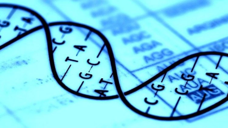 Groundbreaking Strides in Gene Editing: Novel Techniques for Precise and Efficient Genome Rearrangement