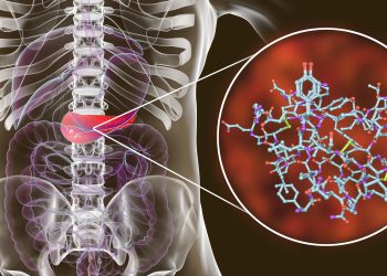 Stepping Closer to Unraveling Blood Sugar Balance: The Role of ‘First Responder’ Cells in the Pancreas