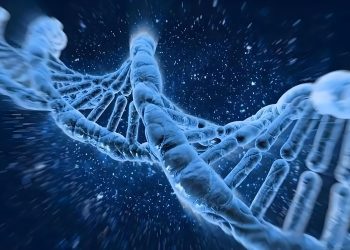 Unveiling the Spectrum of AI Intelligent Life: Definitions and Classifications