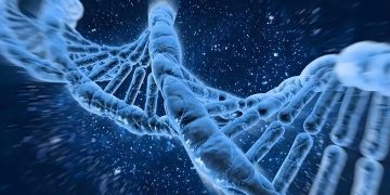 Unveiling the Spectrum of AI Intelligent Life: Definitions and Classifications