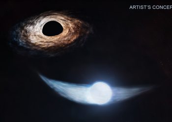 NASA Telescopes Work Out Black Holes’ Snack Schedule: An In-Depth Exploration