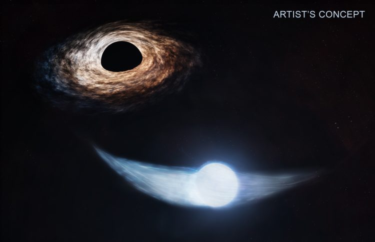 NASA Telescopes Work Out Black Holes’ Snack Schedule: An In-Depth Exploration