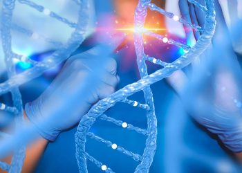 Precision Medicine: The Present Status and Future Prospects of Gene Editing Technology