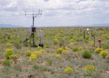 Environmental Monitoring: The Role of the Internet of Things in Ecological Protection