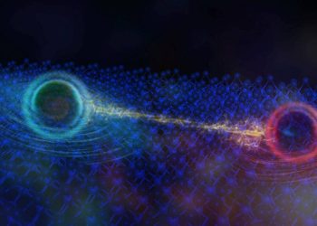 Probing the Depths of Pauli Blocking: A Quantum Phenomenon in the Spotlight