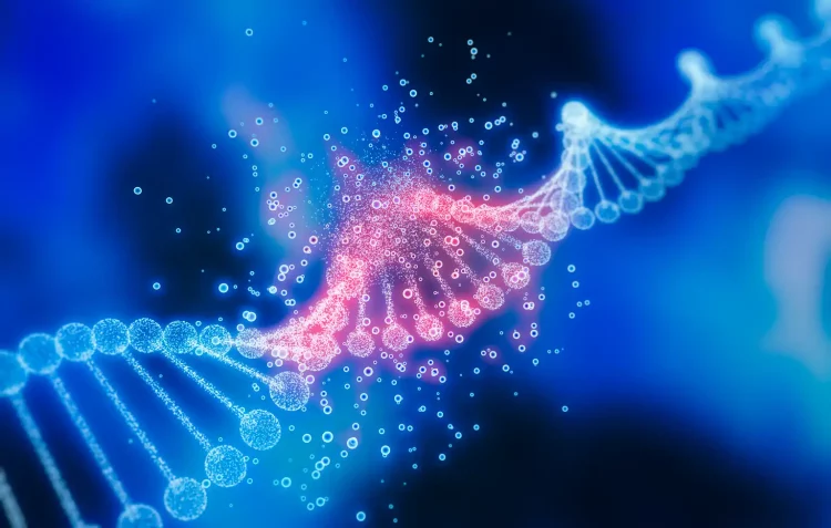 Promising Outcomes from Lexeo Therapeutics’ Gene Therapy Trials for Friedreich’s Ataxia Cardiomyopathy