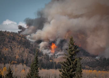 NASA’s Wildland Fire Management Initiative: A Comprehensive Overview