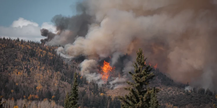 NASA’s Wildland Fire Management Initiative: A Comprehensive Overview