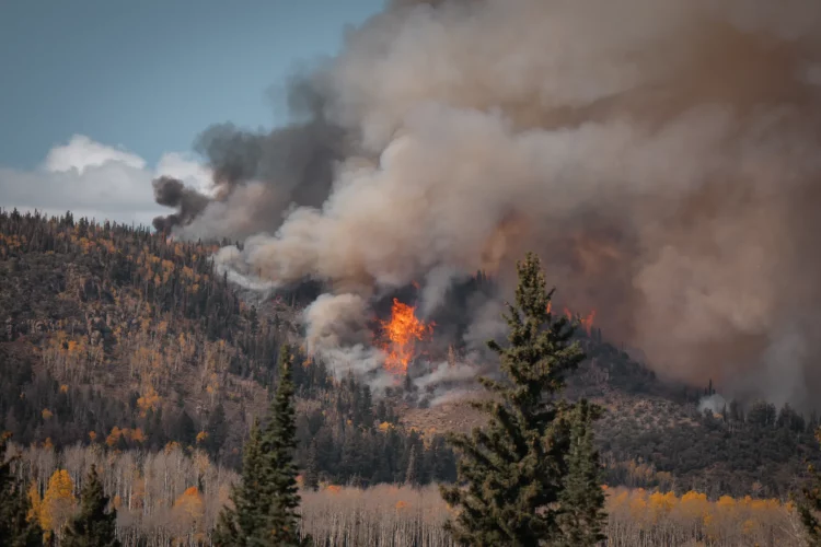 NASA’s Wildland Fire Management Initiative: A Comprehensive Overview