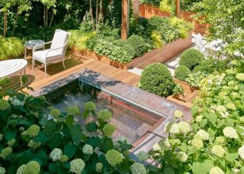 Urban Agriculture: The Rise of Rooftop Gardens and Vertical Farms