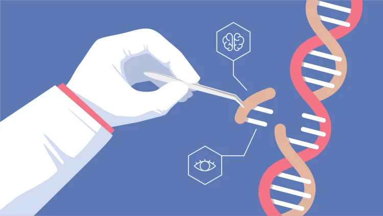 Groundbreaking Progress: Intellia’s In Vivo CRISPR Therapy Shows Repeated Dosing Potential