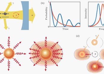 Chameleon of the Insect World: The Jeweled Beetle and the Future of Photonic Innovation