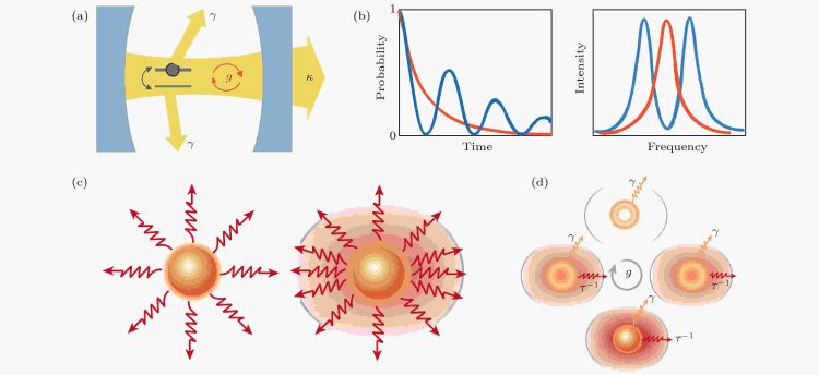 Chameleon of the Insect World: The Jeweled Beetle and the Future of Photonic Innovation