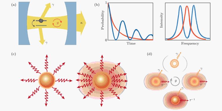 Chameleon of the Insect World: The Jeweled Beetle and the Future of Photonic Innovation