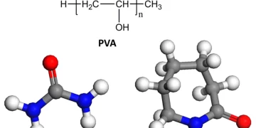 Anti – obesity and Anti – tumor: New Target and Effective Compound Discovered by Fudan University’s Wang Lishun Team