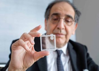 Revolutionary 2mm Retinal Chip: A Visionary Breakthrough by Musk’s Former Associate