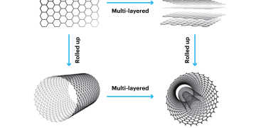 Carbon Nanotube Biosensors: Revolutionizing the Detection of Zoonotic Diseases