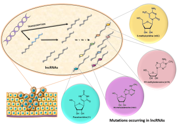 Revolutionary Cancer Detection: Unearthing Molecular “Fingerprints” for Early Diagnosis