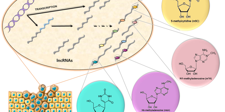Revolutionary Cancer Detection: Unearthing Molecular “Fingerprints” for Early Diagnosis