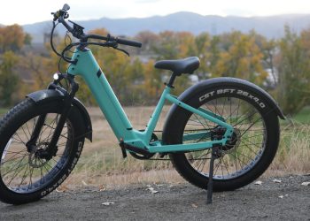 Electric Mobility: The Future of Green Transportation and Its Wellness Benefits