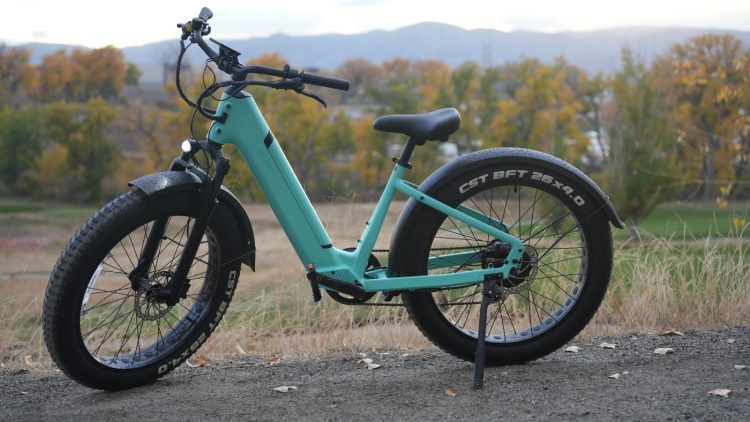 Electric Mobility: The Future of Green Transportation and Its Wellness Benefits