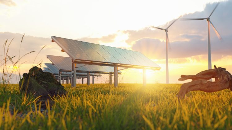 Revolutionizing Renewable Energy: The Role of Smart Grids in Sustainable Power