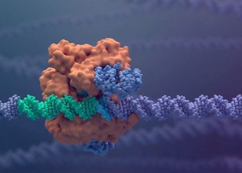 Biotech Breakthroughs: The Future of Gene Editing and CRISPR Technology