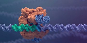 Biotech Breakthroughs: The Future of Gene Editing and CRISPR Technology