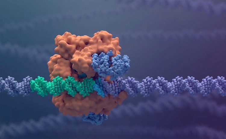 Biotech Breakthroughs: The Future of Gene Editing and CRISPR Technology