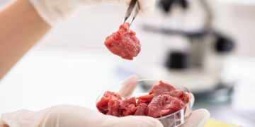 Green Nutrition: How Tech Is Revolutionizing Sustainable Food Production