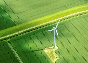 The Green Tech Revolution: How Businesses Are Going Carbon-Neutral