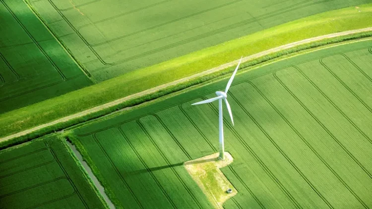 The Green Tech Revolution: How Businesses Are Going Carbon-Neutral