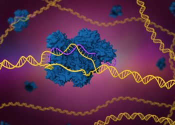Advances in CRISPR Technology: Editing the Human Genome