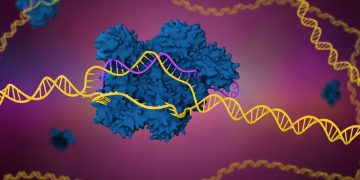 Advances in CRISPR Technology: Editing the Human Genome