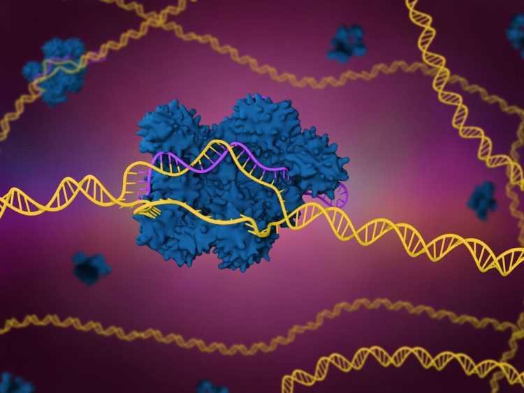 Advances in CRISPR Technology: Editing the Human Genome