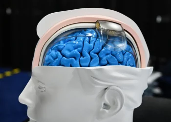 Can Brain-Computer Interfaces Enhance Human Cognitive Abilities?