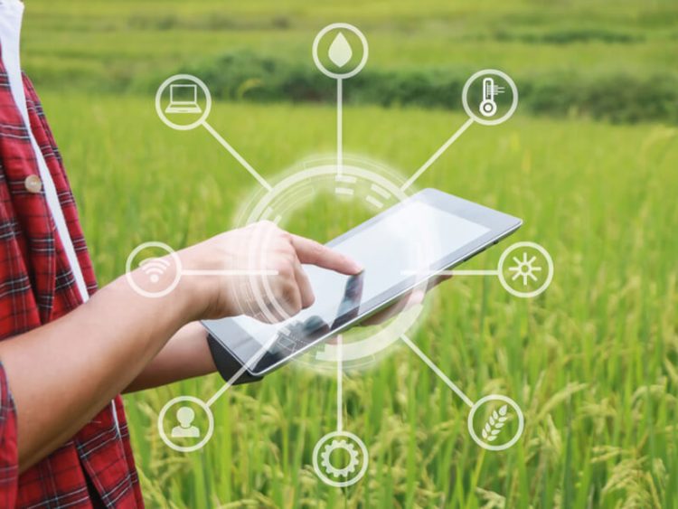 AI-Driven Agricultural Technology: Can It Make Organic Food a Widely Accessible and Everyday Choice?