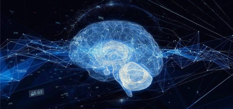 The Rise of Interdisciplinary Laboratories: Can the Combination of AI and Neuroscience Disrupt Traditional Research Models?