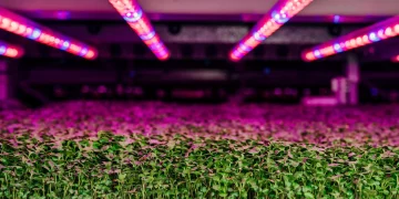 Can AI-Powered Vertical Farms Solve the 2025 Global Food Crisis?