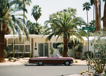 Are AI-Generated ‘Fake Trees’ the Ultimate Greenwashing Scam?
